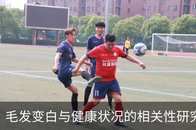 毛发变白与健康状况的相关性研究